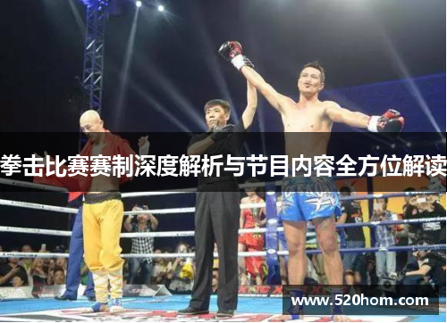 拳击比赛赛制深度解析与节目内容全方位解读