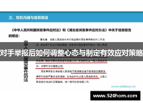 对手举报后如何调整心态与制定有效应对策略