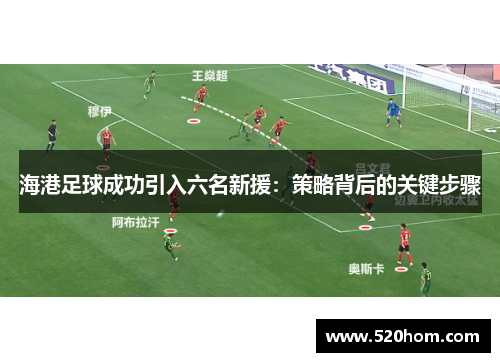 海港足球成功引入六名新援:策略背后的关键步骤 海港足球成功引入六名新援:策略背后的关键步骤