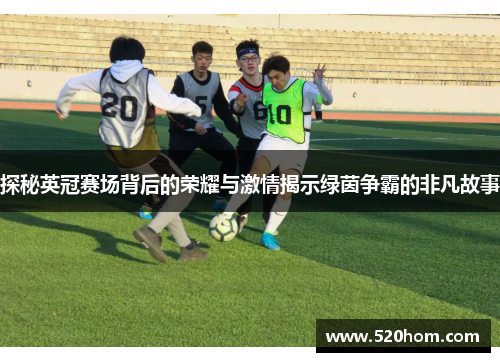 探秘英冠赛场背后的荣耀与激情揭示绿茵争霸的非凡故事