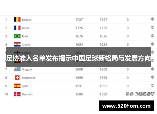 足协准入名单发布揭示中国足球新格局与发展方向 足协准入名单发布揭示中国足球新格局与发展方向